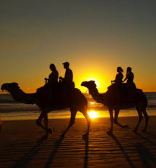 Camels on the beach_Broome